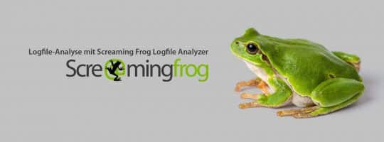 Blog Logfile Analyse Screamingfrog