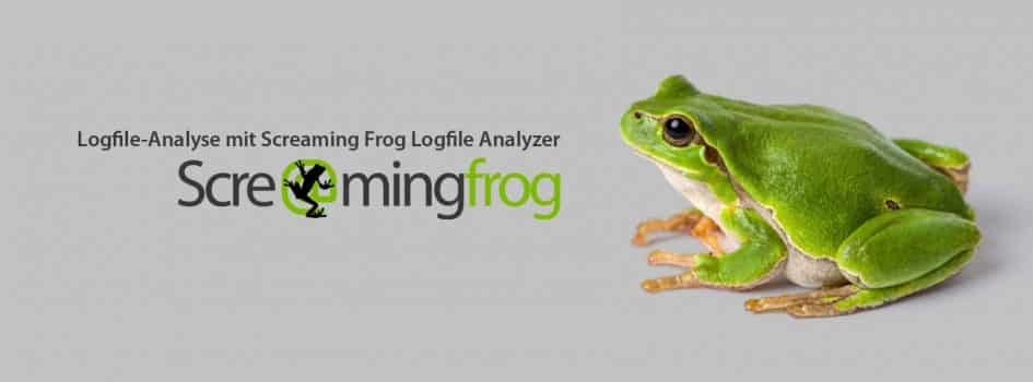 Blog Logfile Analyse Screamingfrog